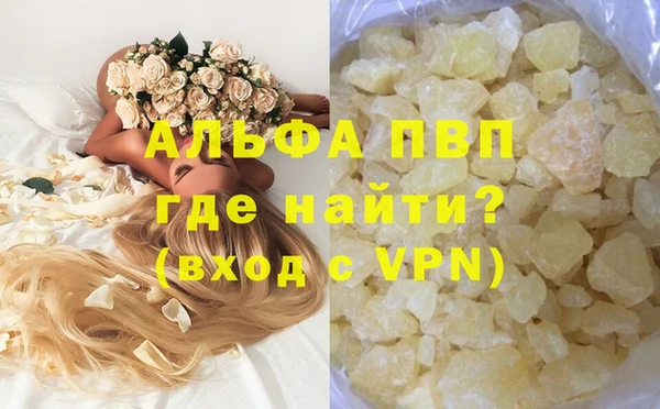 гидра Киренск